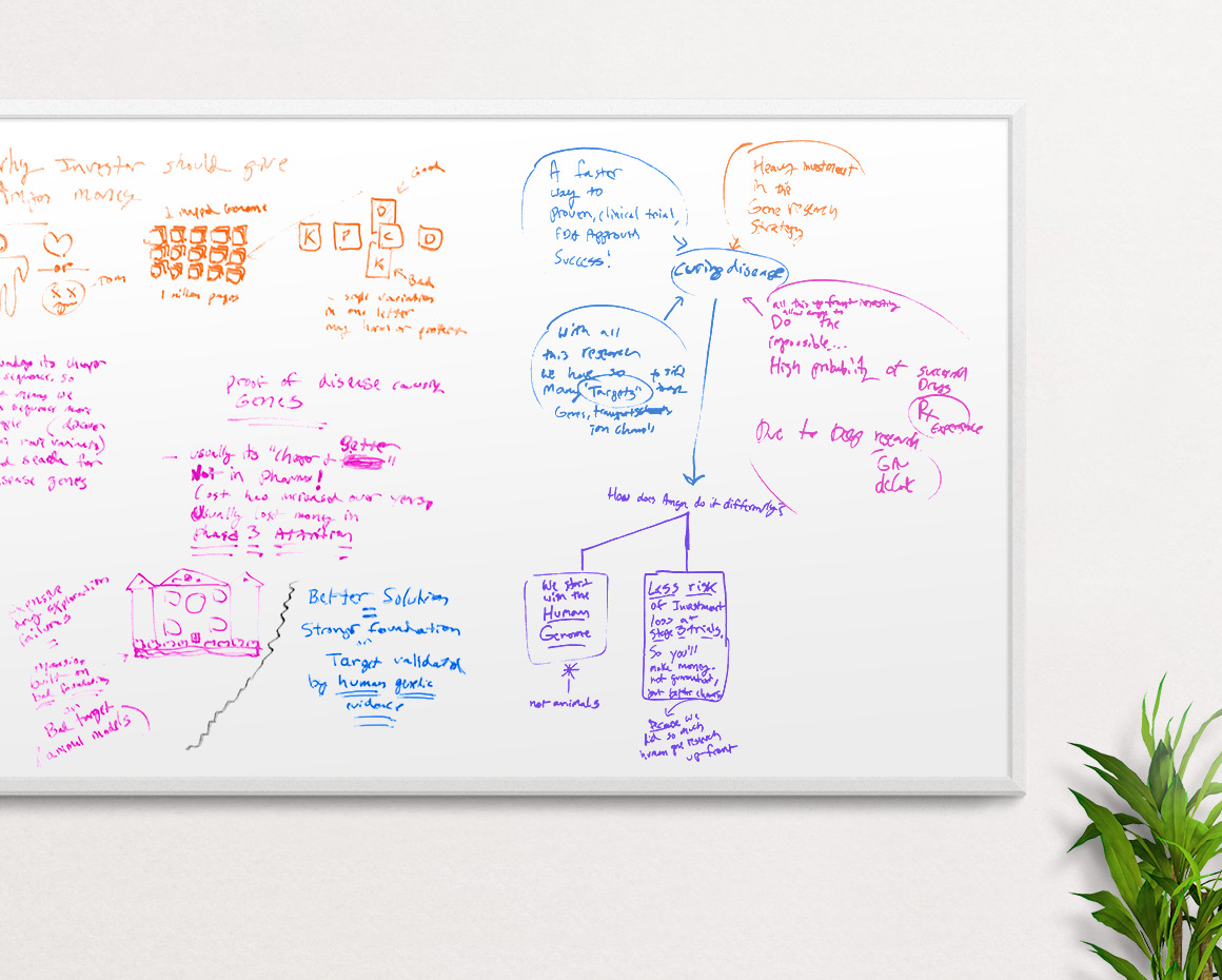 amgen_breakdown_whiteboard_5